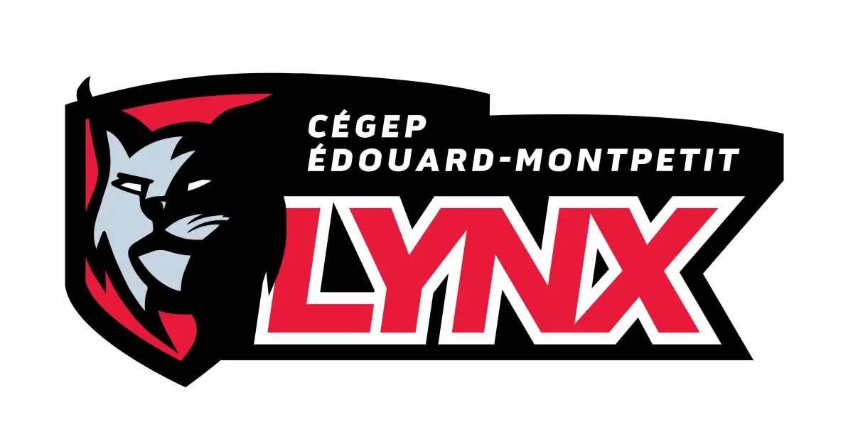 Logo des Lynx en couleurs
