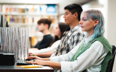 Techniques d’administration et de gestion – Profil Marketing numérique